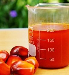 Crude Palm Oil of Edible Grade in Bulk 